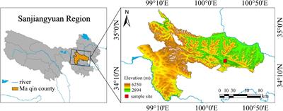 Effects of Nitrogen Addition on Soil Carbon-Fixing Microbial Diversity on Different Slopes in a Degraded Alpine Meadow